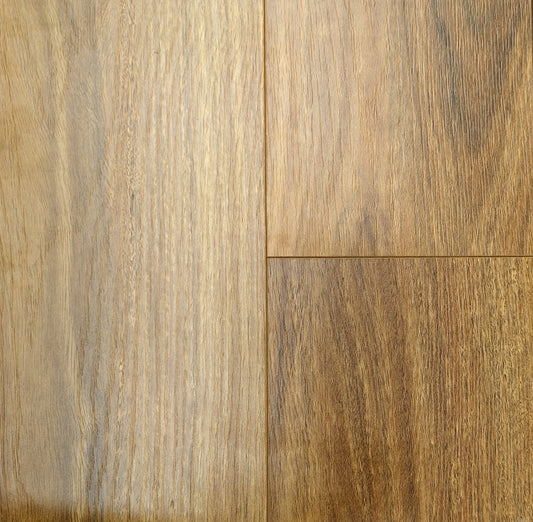 Coastal Spotted Gum