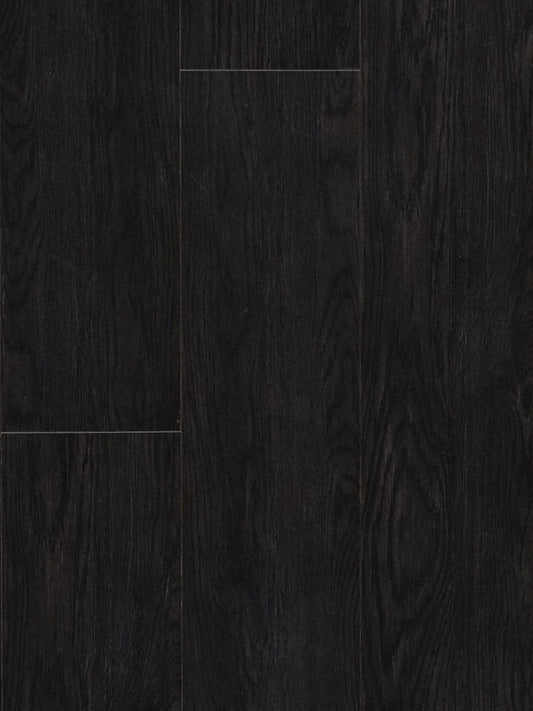 Forest Black Oak(MTFA113)