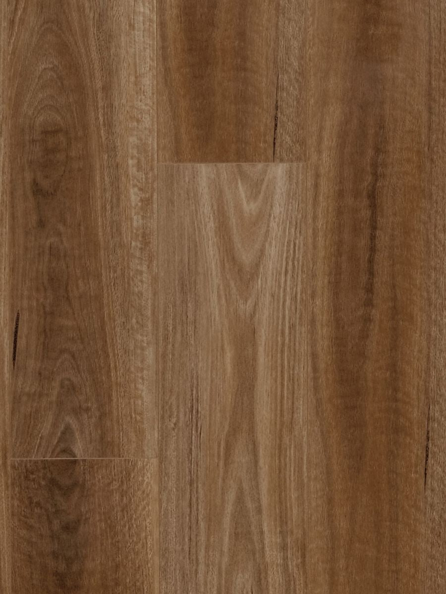 Spotted Gum(MTFA115)